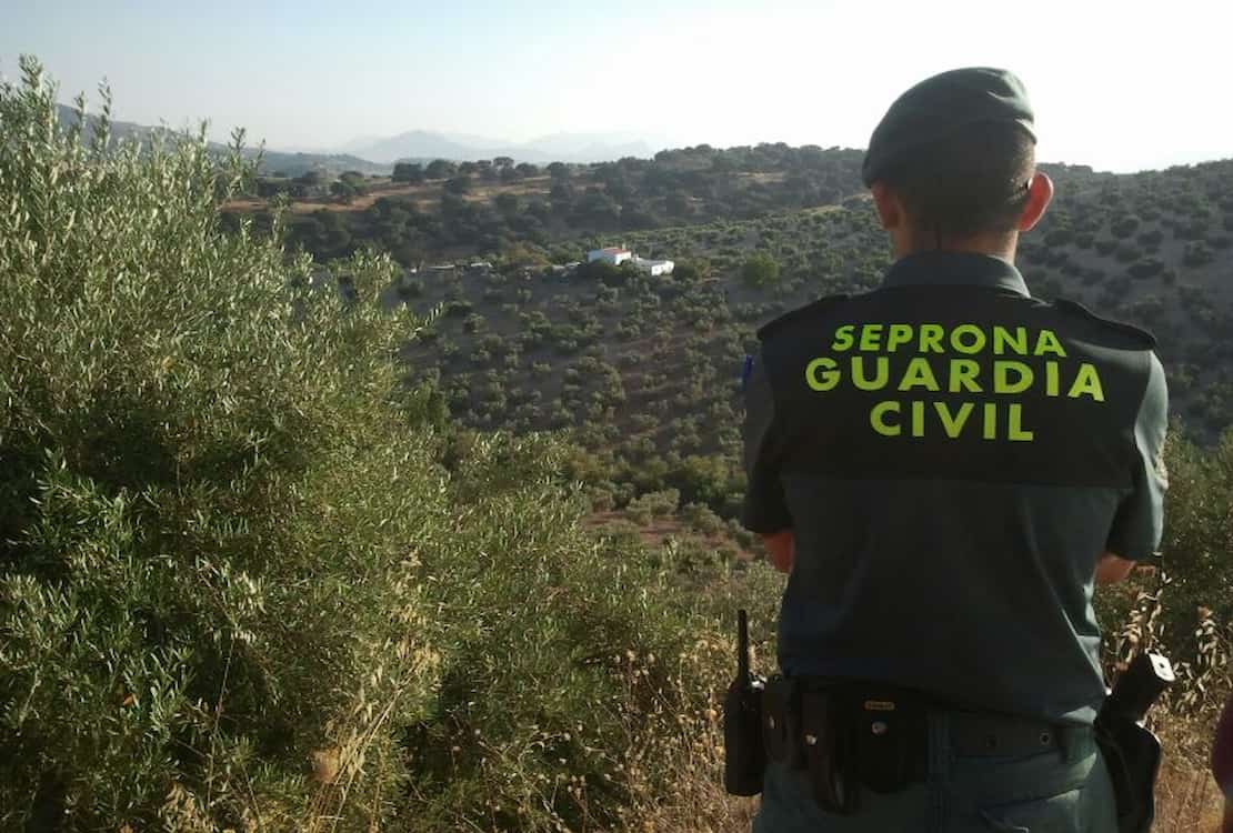 Guardia civil del Seprona vigilando la montaña